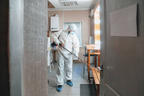Reliable Clay, KY Mold Removal Solutions