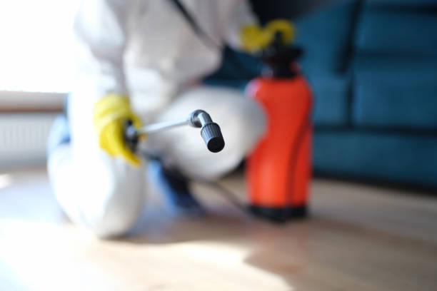 Best Environmental Consulting for Mold Prevention  in Clay, KY